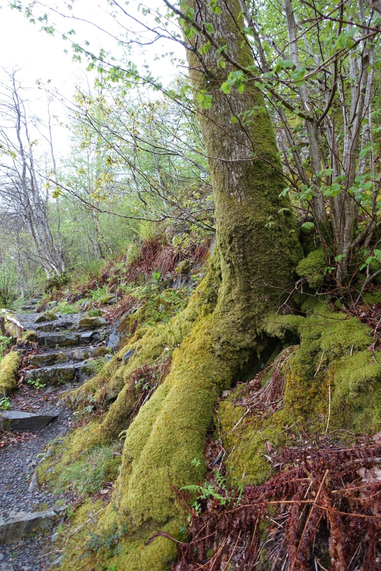 walking in rain Brantwood